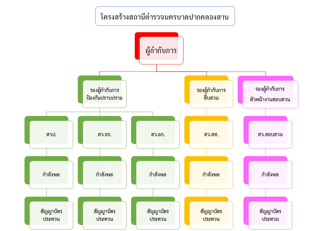 ผัง2